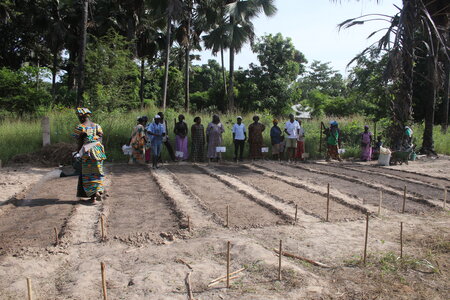 Formation en technique cultural