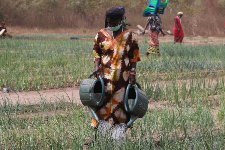 Bloc maraîcher des femmes 